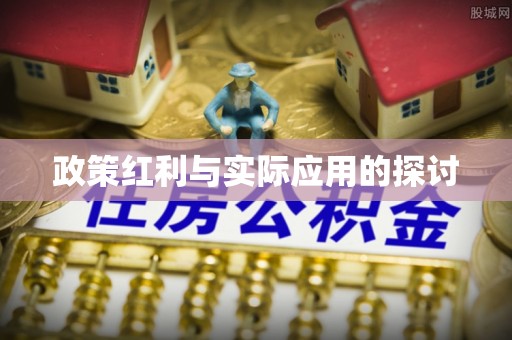 策勒政策红利与实际应用的探讨